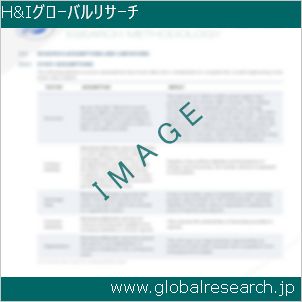 グローバルリサーチ調査レポートのイメージ